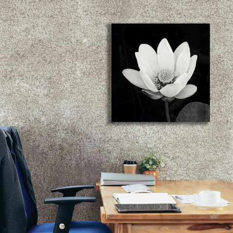 Image of 'Lotus Flower I' by Debra Van Swearingen, Canvas Wall Art,26 x 26