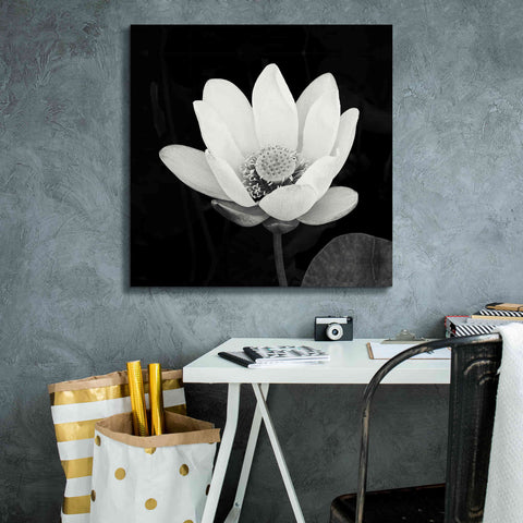Image of 'Lotus Flower I' by Debra Van Swearingen, Canvas Wall Art,26 x 26