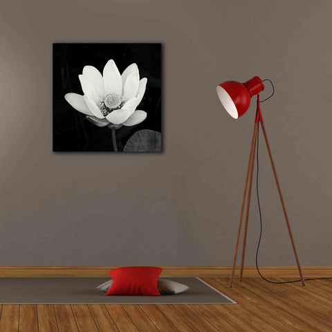 Image of 'Lotus Flower I' by Debra Van Swearingen, Canvas Wall Art,26 x 26