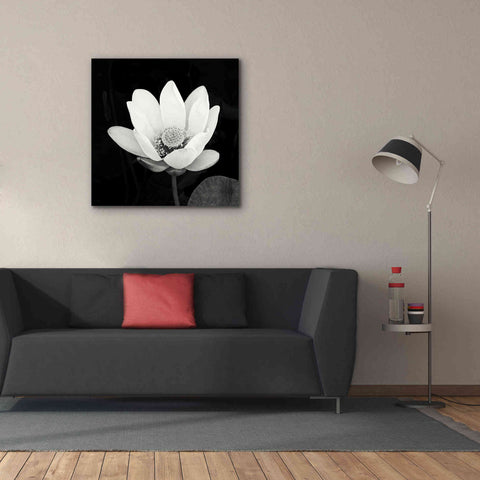 Image of 'Lotus Flower I' by Debra Van Swearingen, Canvas Wall Art,37 x 37