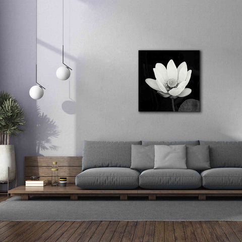 Image of 'Lotus Flower I' by Debra Van Swearingen, Canvas Wall Art,37 x 37