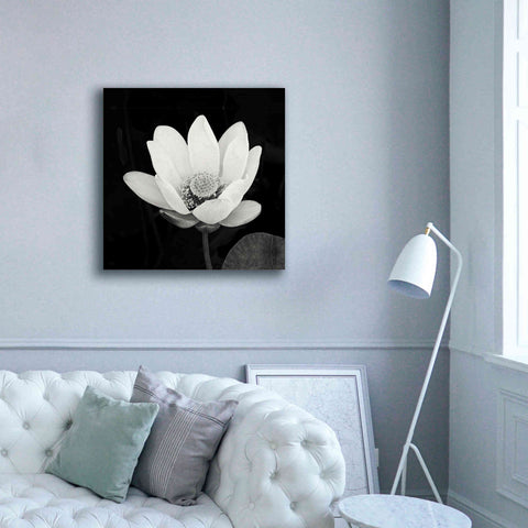 Image of 'Lotus Flower I' by Debra Van Swearingen, Canvas Wall Art,37 x 37