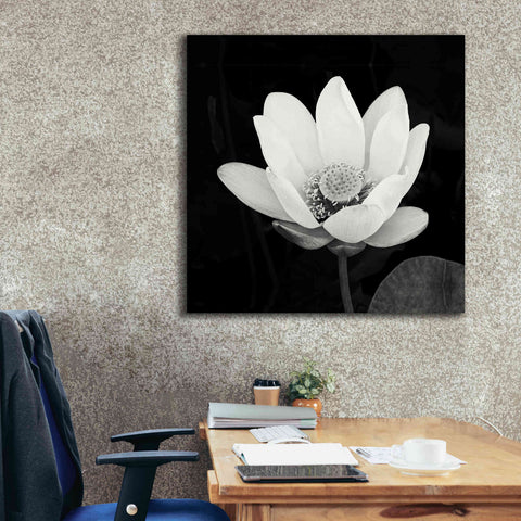 Image of 'Lotus Flower I' by Debra Van Swearingen, Canvas Wall Art,37 x 37