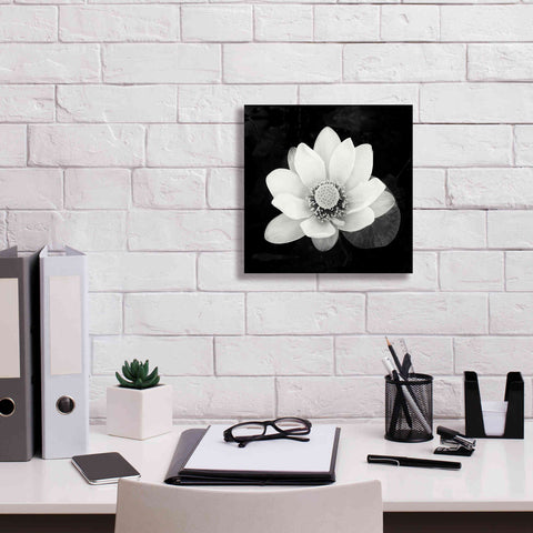 Image of 'Lotus Flower II' by Debra Van Swearingen, Canvas Wall Art,12 x 12