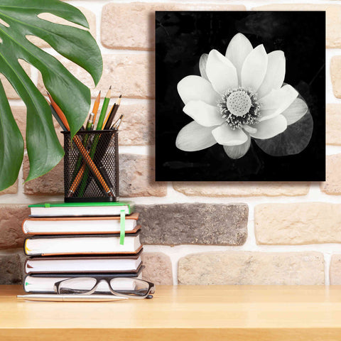 Image of 'Lotus Flower II' by Debra Van Swearingen, Canvas Wall Art,12 x 12