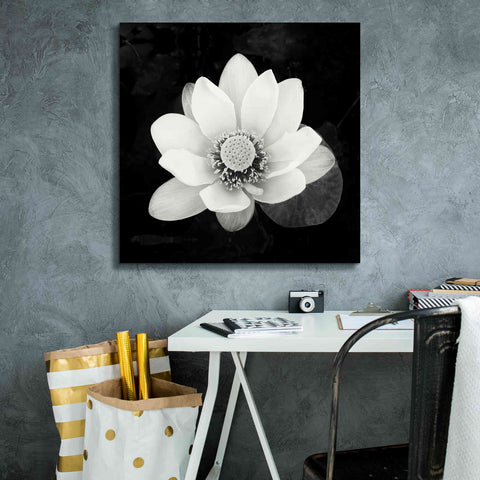 Image of 'Lotus Flower II' by Debra Van Swearingen, Canvas Wall Art,26 x 26