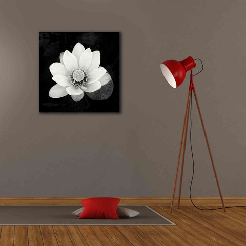 Image of 'Lotus Flower II' by Debra Van Swearingen, Canvas Wall Art,26 x 26