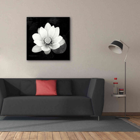 Image of 'Lotus Flower II' by Debra Van Swearingen, Canvas Wall Art,37 x 37