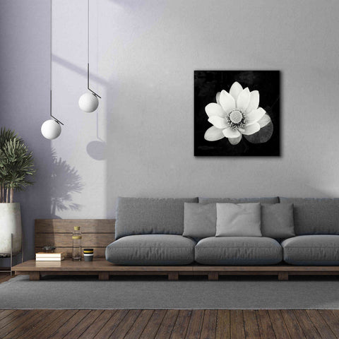 Image of 'Lotus Flower II' by Debra Van Swearingen, Canvas Wall Art,37 x 37