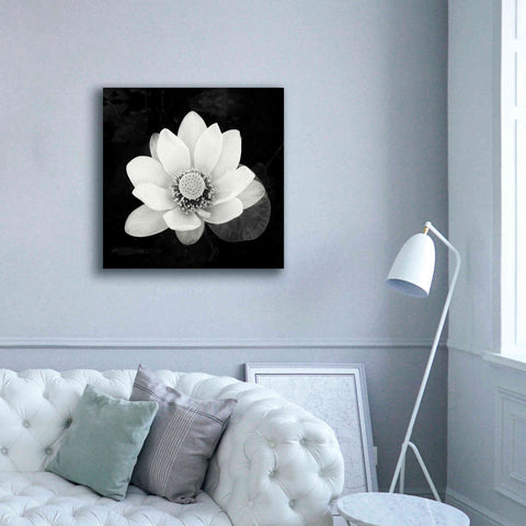 Image of 'Lotus Flower II' by Debra Van Swearingen, Canvas Wall Art,37 x 37