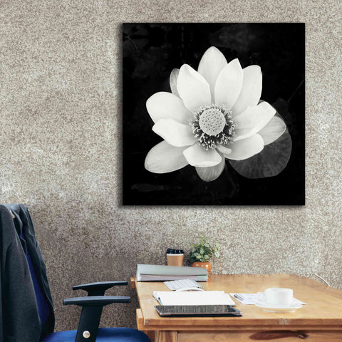 Image of 'Lotus Flower II' by Debra Van Swearingen, Canvas Wall Art,37 x 37