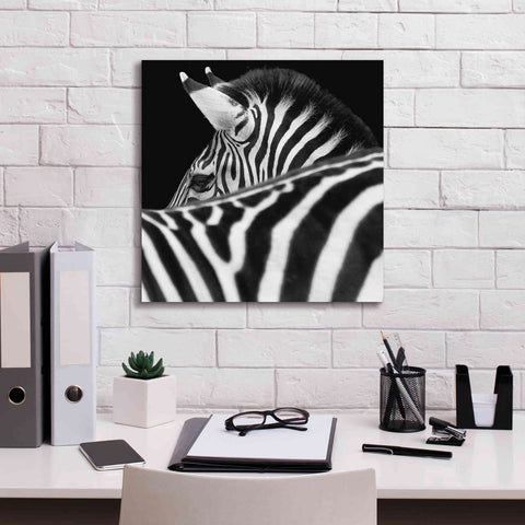 Image of 'Zebra III' by Debra Van Swearingen, Canvas Wall Art,18 x 18