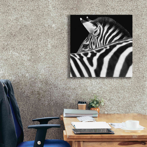 Image of 'Zebra III' by Debra Van Swearingen, Canvas Wall Art,26 x 26