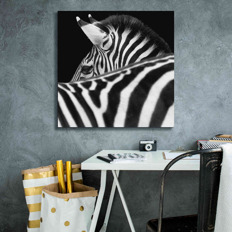 Image of 'Zebra III' by Debra Van Swearingen, Canvas Wall Art,26 x 26