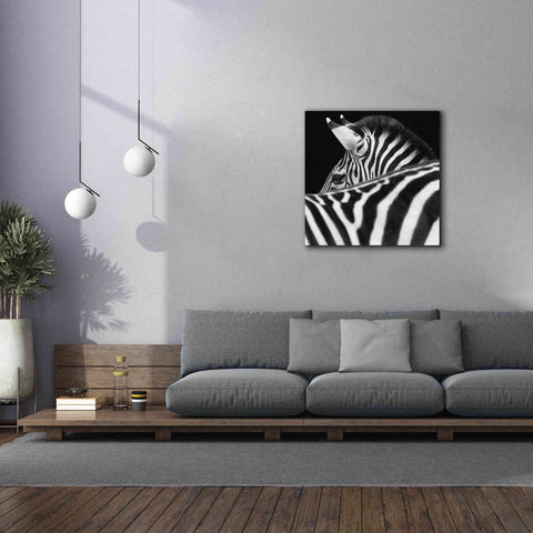 Image of 'Zebra III' by Debra Van Swearingen, Canvas Wall Art,37 x 37