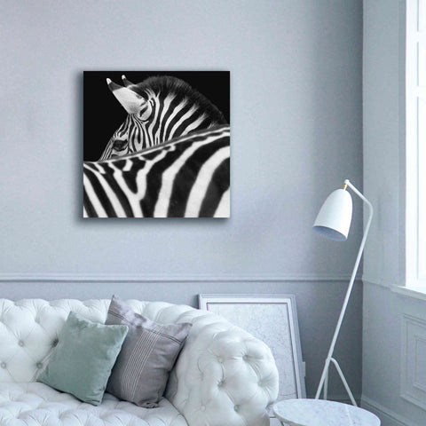 Image of 'Zebra III' by Debra Van Swearingen, Canvas Wall Art,37 x 37