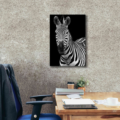 Image of 'Zebra II' by Debra Van Swearingen, Canvas Wall Art,18 x 26