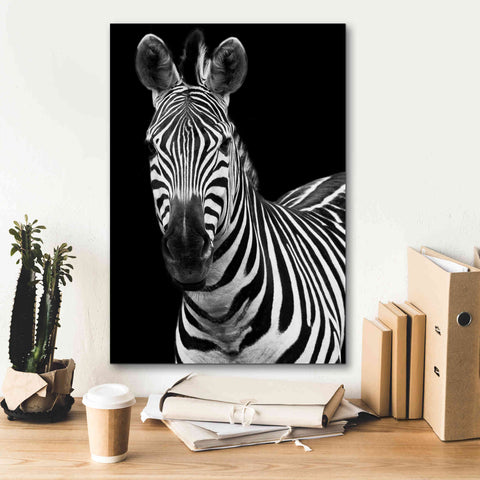 Image of 'Zebra II' by Debra Van Swearingen, Canvas Wall Art,18 x 26