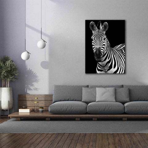 Image of 'Zebra II' by Debra Van Swearingen, Canvas Wall Art,40 x 54