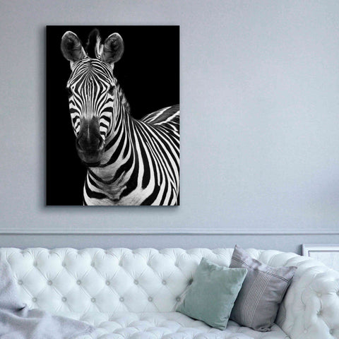 Image of 'Zebra II' by Debra Van Swearingen, Canvas Wall Art,40 x 54