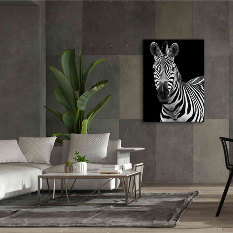 Image of 'Zebra II' by Debra Van Swearingen, Canvas Wall Art,40 x 54