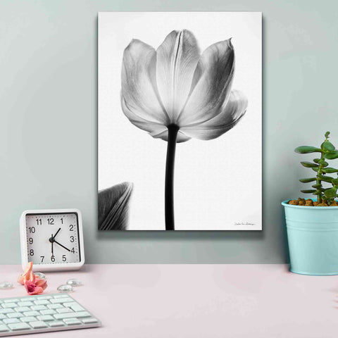 Image of 'Translucent Tulips I' by Debra Van Swearingen, Canvas Wall Art,12 x 16
