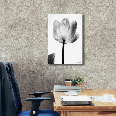 Image of 'Translucent Tulips I' by Debra Van Swearingen, Canvas Wall Art,18 x 26