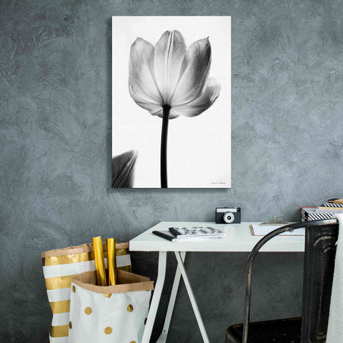 Image of 'Translucent Tulips I' by Debra Van Swearingen, Canvas Wall Art,18 x 26