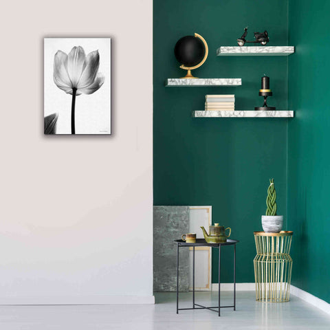 Image of 'Translucent Tulips I' by Debra Van Swearingen, Canvas Wall Art,18 x 26