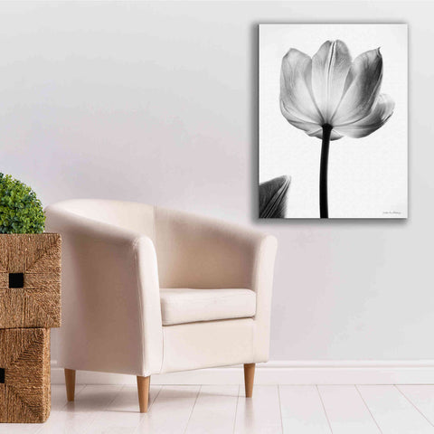 Image of 'Translucent Tulips I' by Debra Van Swearingen, Canvas Wall Art,26 x 34
