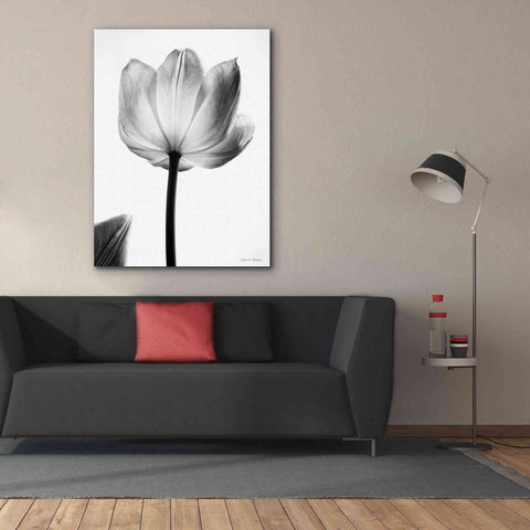 Image of 'Translucent Tulips I' by Debra Van Swearingen, Canvas Wall Art,40 x 54