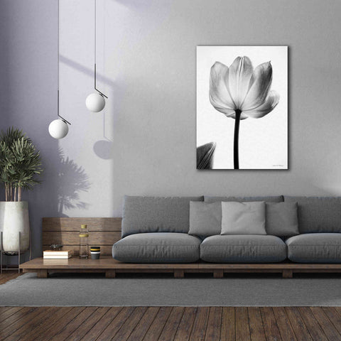 Image of 'Translucent Tulips I' by Debra Van Swearingen, Canvas Wall Art,40 x 54