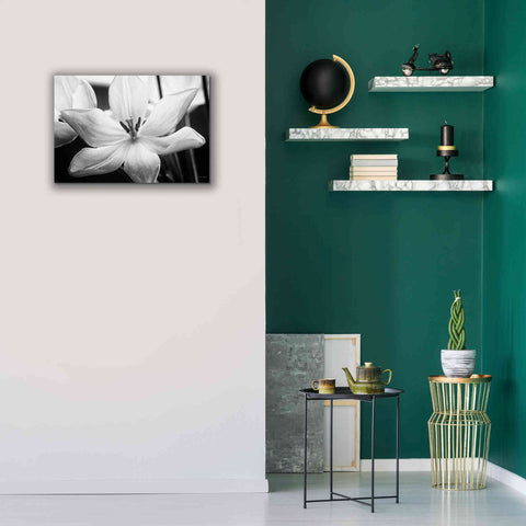 Image of 'Translucent Tulips IV' by Debra Van Swearingen, Canvas Wall Art,26 x 18