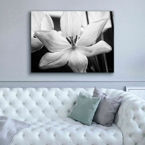 Image of 'Translucent Tulips IV' by Debra Van Swearingen, Canvas Wall Art,54 x 40