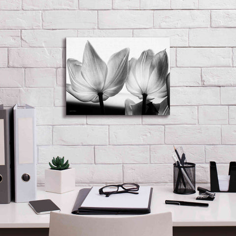 Image of 'Translucent Tulips V' by Debra Van Swearingen, Canvas Wall Art,16 x 12