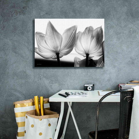Image of 'Translucent Tulips V' by Debra Van Swearingen, Canvas Wall Art,26 x 18