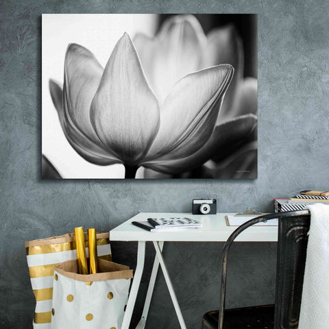 Image of 'Translucent Tulips VI' by Debra Van Swearingen, Canvas Wall Art,34 x 26