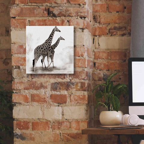 Image of 'Giraffe III' by Debra Van Swearingen, Canvas Wall Art,12 x 12