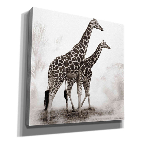Image of 'Giraffe III' by Debra Van Swearingen, Canvas Wall Art,12x12x1.1x0,18x18x1.1x0,26x26x1.74x0,37x37x1.74x0