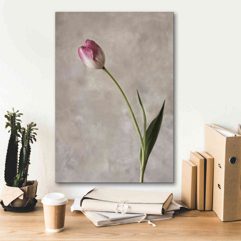 Image of 'Fresh Tulips II' by Debra Van Swearingen, Canvas Wall Art,18 x 26