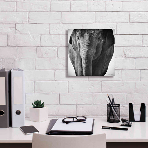 Image of 'Elephant I' by Debra Van Swearingen, Canvas Wall Art,12 x 12