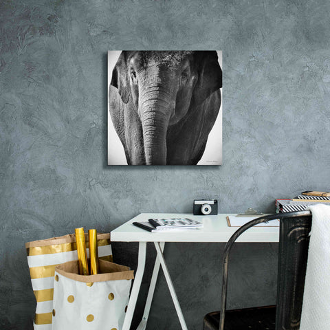 Image of 'Elephant I' by Debra Van Swearingen, Canvas Wall Art,18 x 18