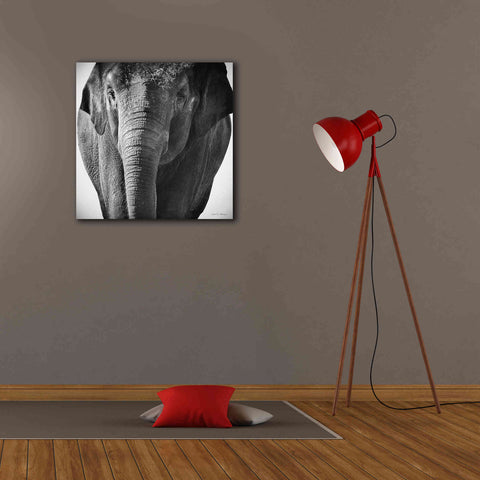 Image of 'Elephant I' by Debra Van Swearingen, Canvas Wall Art,26 x 26