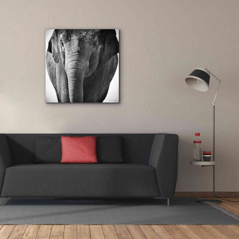 Image of 'Elephant I' by Debra Van Swearingen, Canvas Wall Art,37 x 37