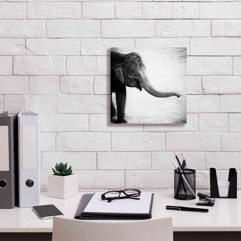 Image of 'Elephant II' by Debra Van Swearingen, Canvas Wall Art,12 x 12