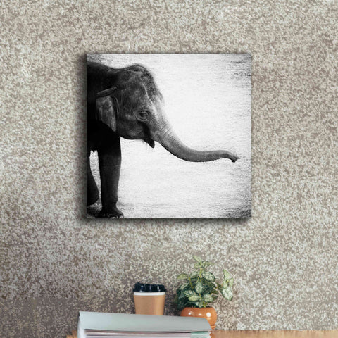 Image of 'Elephant II' by Debra Van Swearingen, Canvas Wall Art,18 x 18
