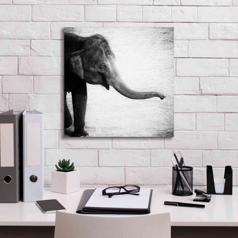 Image of 'Elephant II' by Debra Van Swearingen, Canvas Wall Art,18 x 18