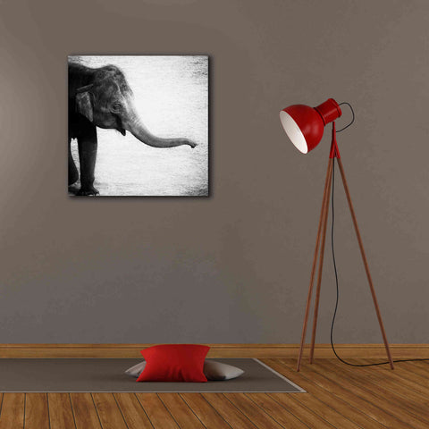 Image of 'Elephant II' by Debra Van Swearingen, Canvas Wall Art,26 x 26