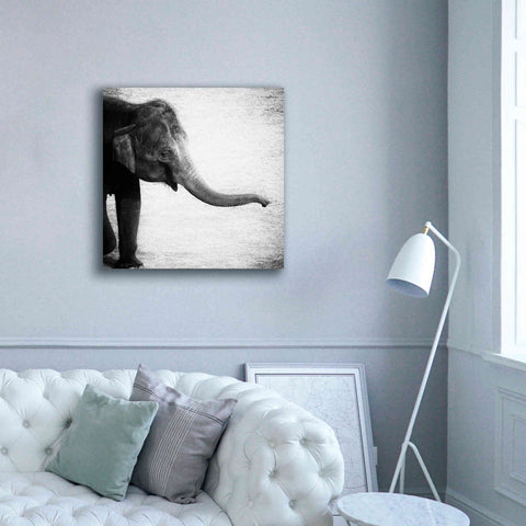 Image of 'Elephant II' by Debra Van Swearingen, Canvas Wall Art,37 x 37
