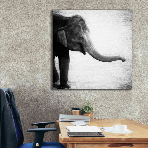 Image of 'Elephant II' by Debra Van Swearingen, Canvas Wall Art,37 x 37